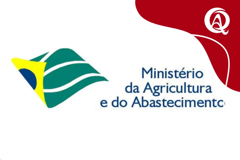 Logo do Ministério da Agricultura e Pecuária do Brasil, com elementos gráficos nas cores verde, amarelo e azul formando um símbolo estilizado à esquerda, acompanhado do texto “Ministério da Agricultura e Pecuária” à direita.