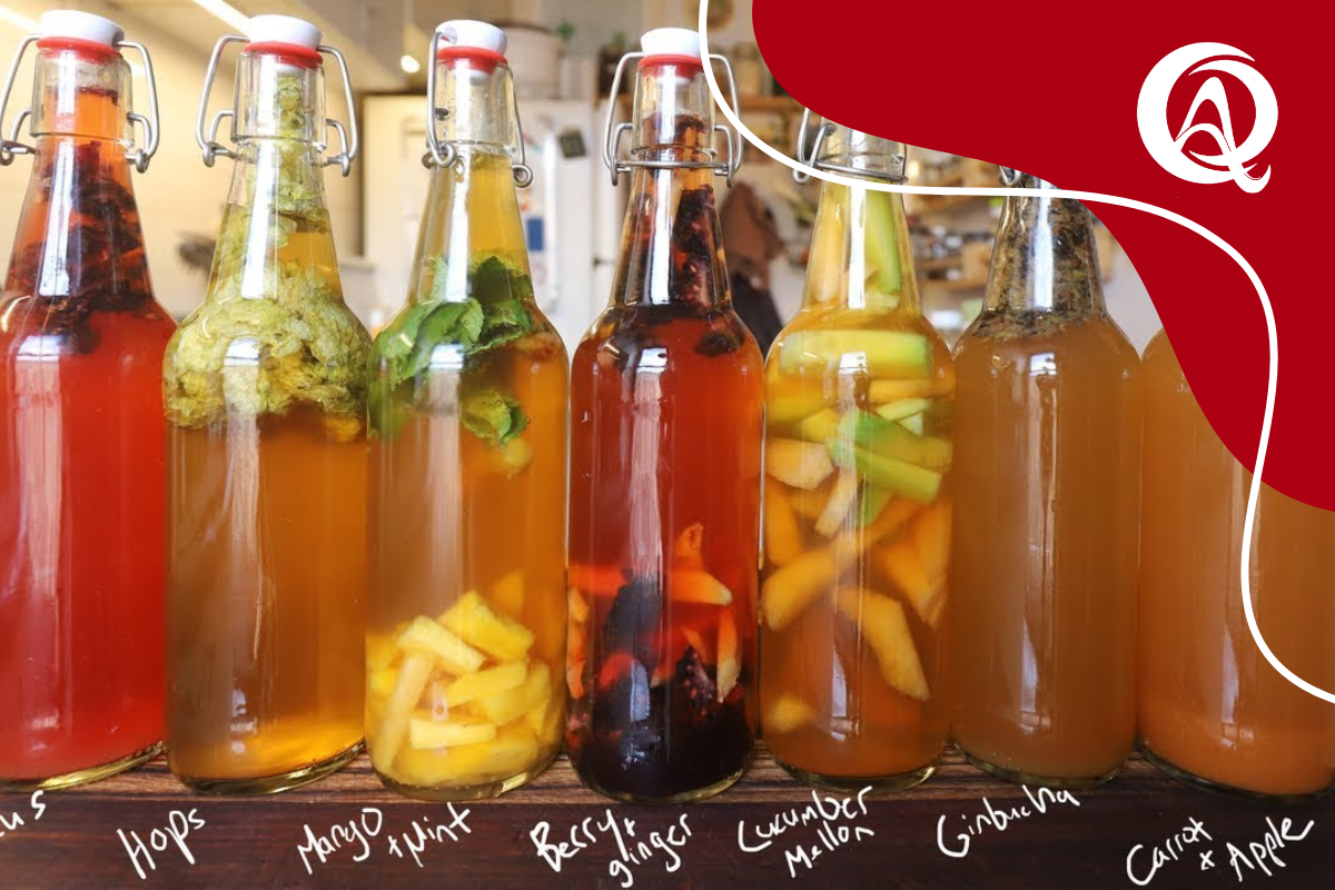 Passos vitais para a produção de Kombucha