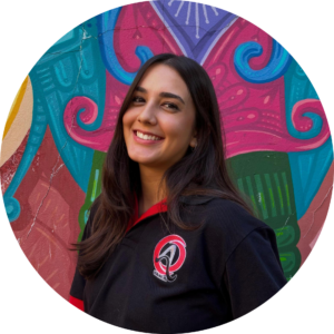 Ana Flávia Perissato Brandt 